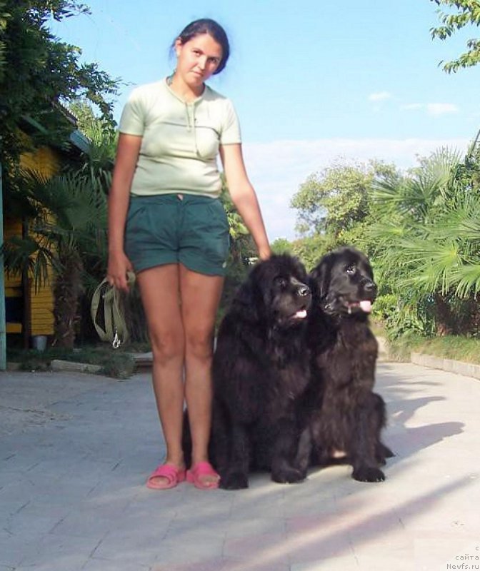 Фото: Мария Смирнова