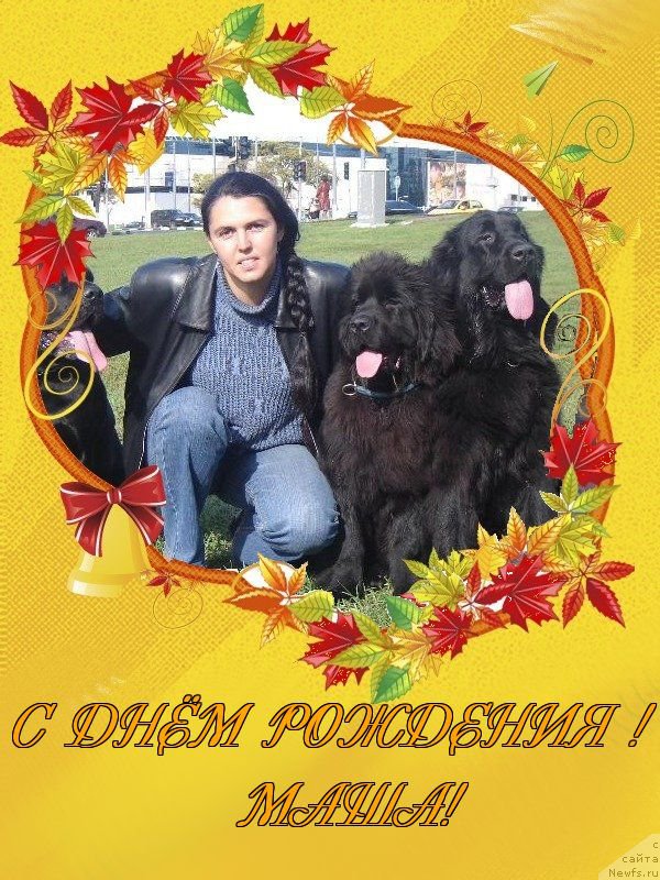 Фотография № 212541