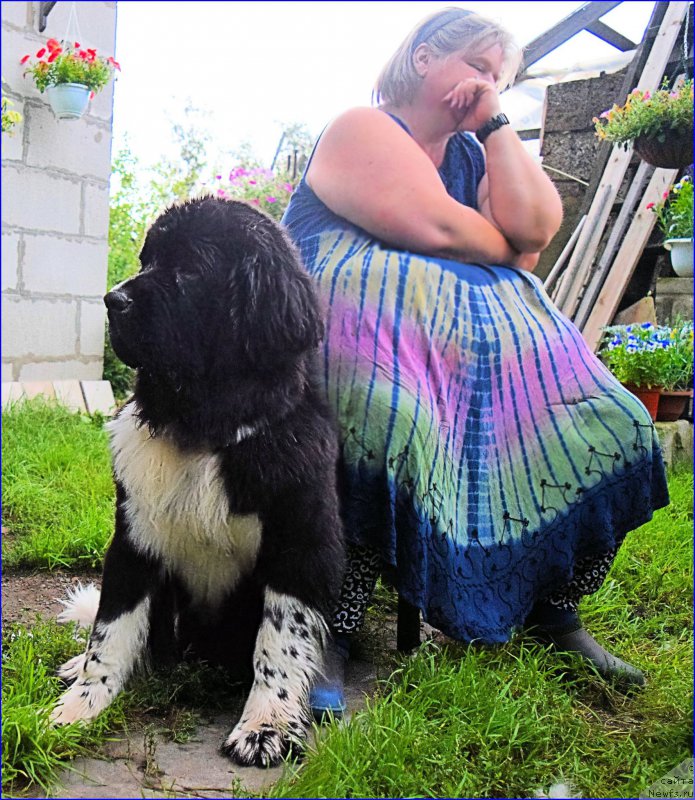 Фотография № 212562