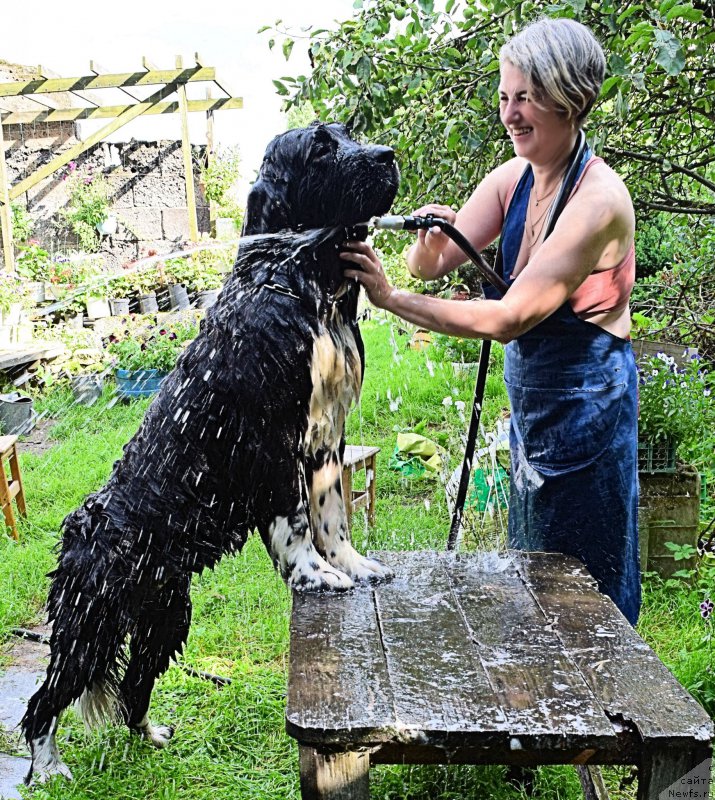 Фотография № 212573