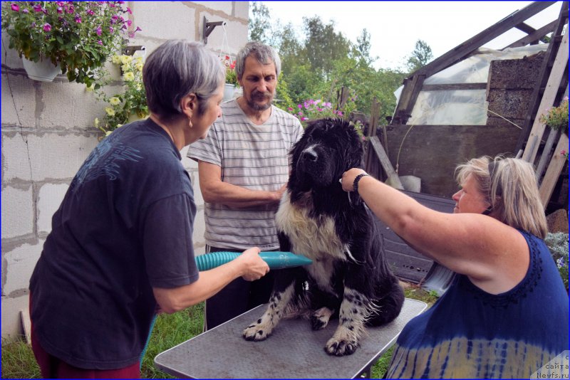 Фотография № 212577