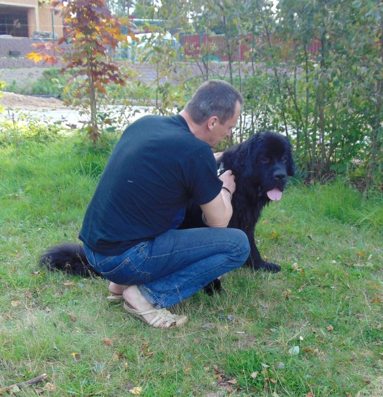 Фотография № 212586