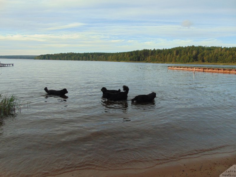 Фотография № 212590