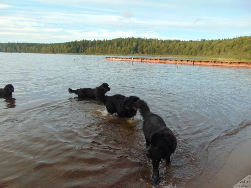 Фотография № 212591