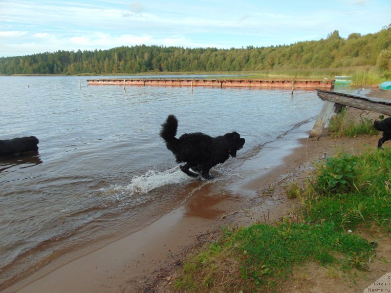 Фотография № 212592