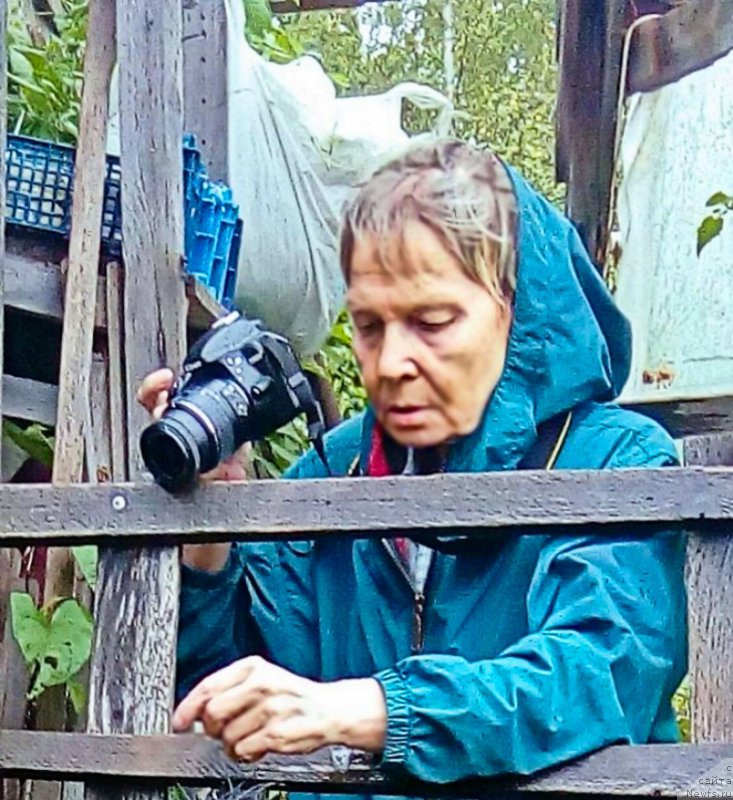 Фото: Ольга Есина