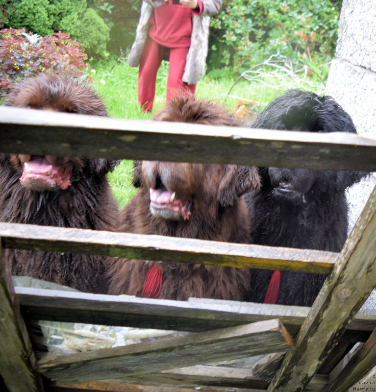 Фотография № 212632