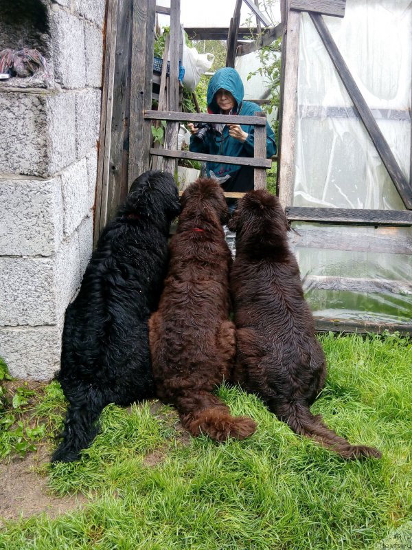 Фотография № 212634