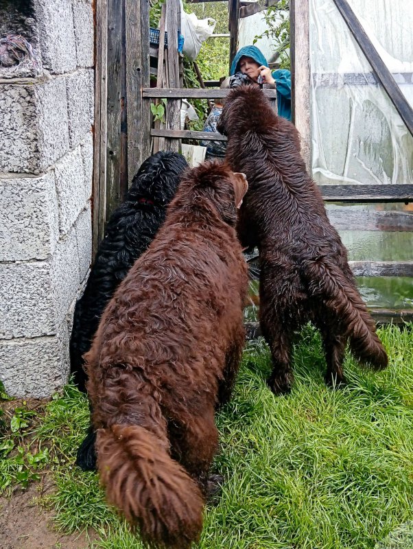 Фотография № 212635