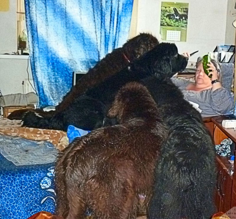 Фотография № 212643