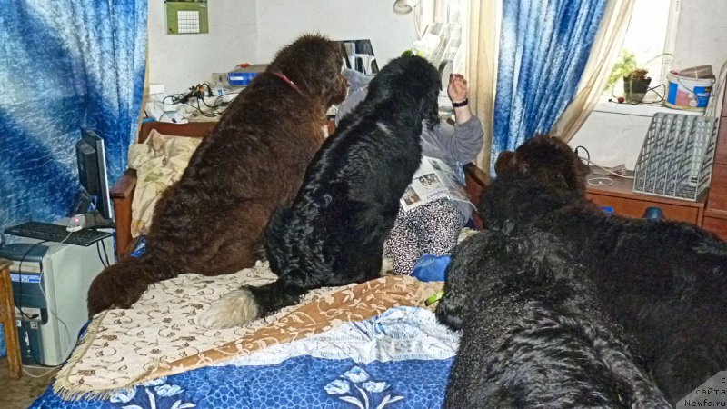 Фотография № 212645