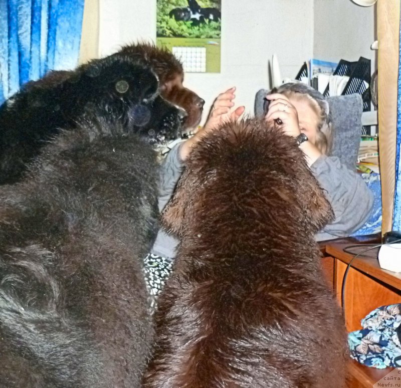 Фотография № 212646