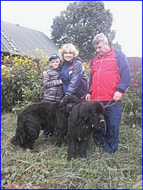 Фотография № 212648