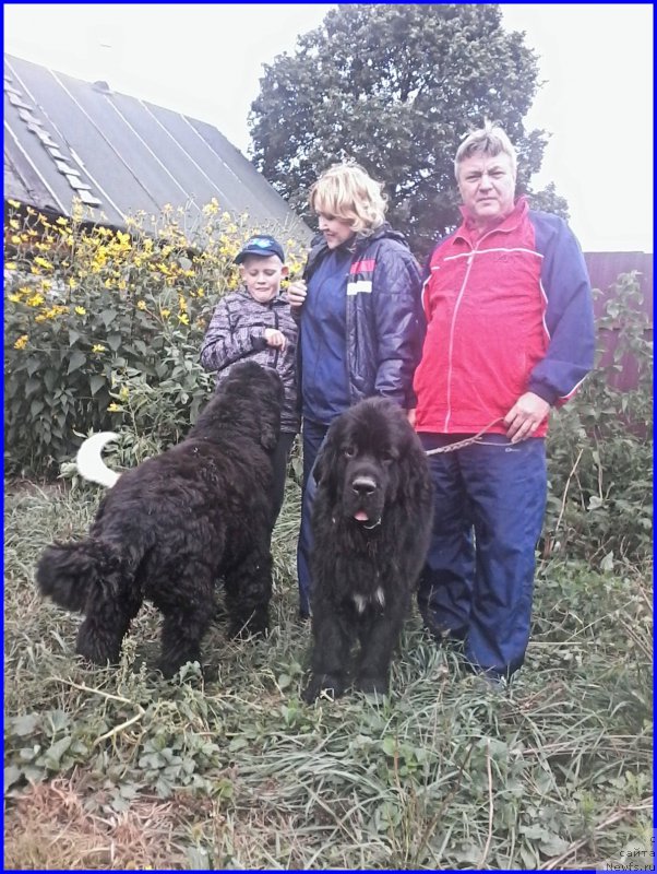 Фотография № 212649