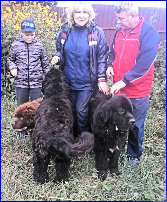 Фотография № 212650