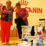 Фото: ньюфаундленд Бридж Овер Траблд Ривер (Bridge Over Troubled River)