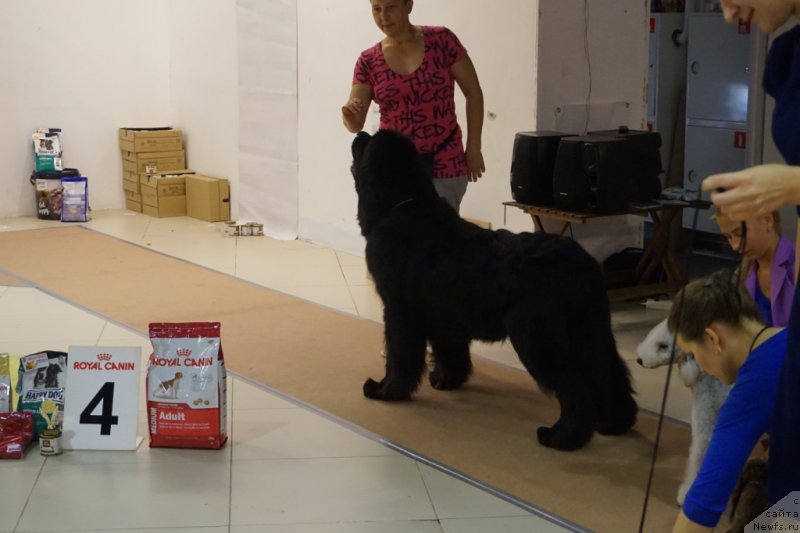 Фото: ньюфаундленд Бридж Овер Траблд Ривер (Bridge Over Troubled River)
