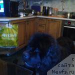 Фотография № 212674