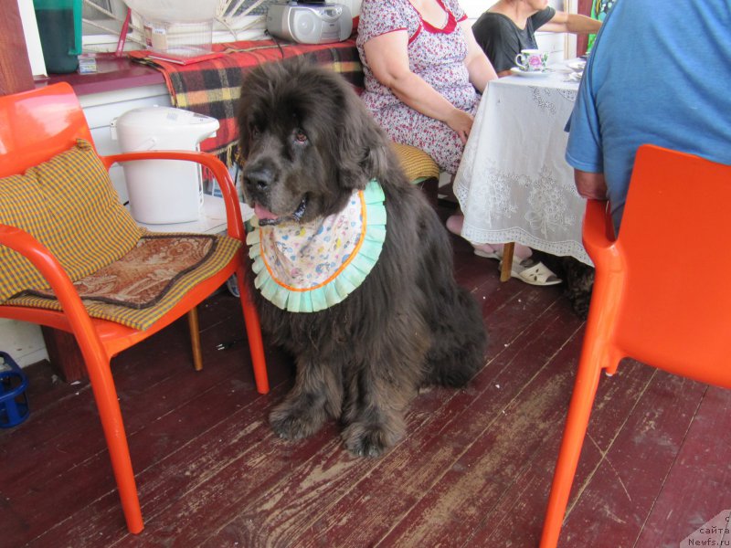 Фотография № 212686