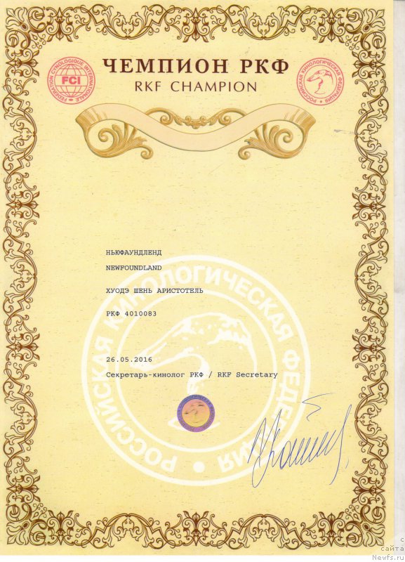 Фото: ньюфаундленд Хуодэ Шень Аристотель (Huode Shen Aristotel)