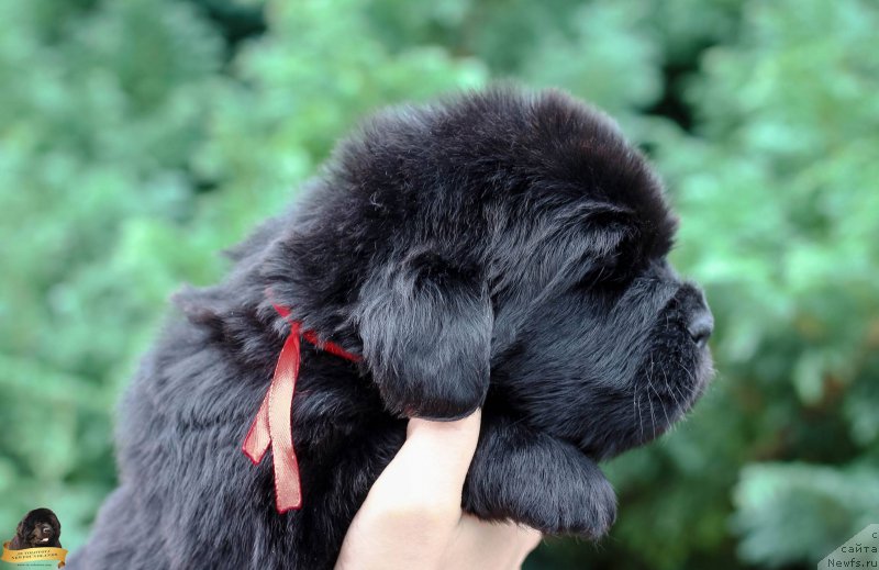 Фото: Виктор Хрищанович