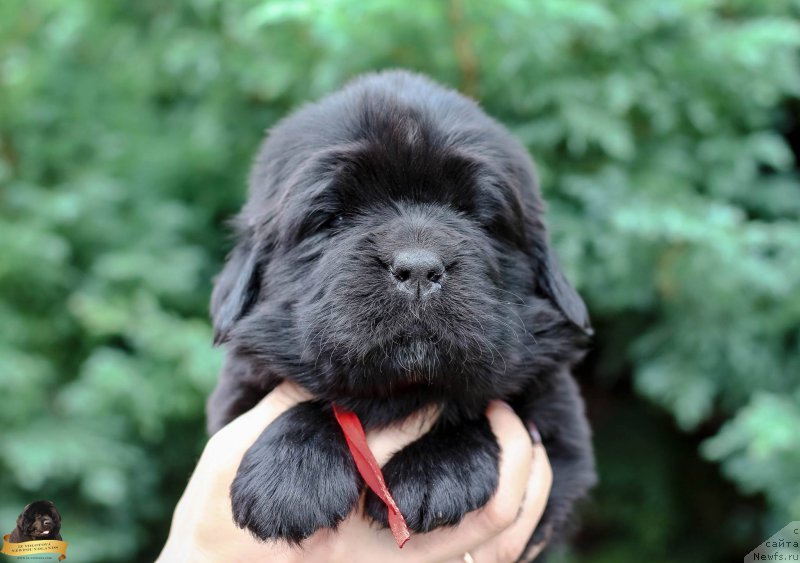 Фото: Виктор Хрищанович