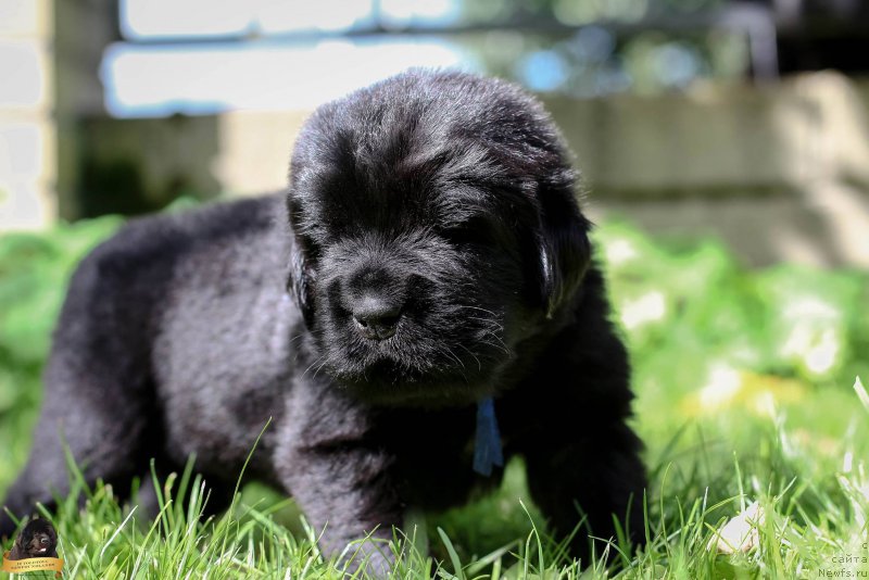 Фотография № 212715