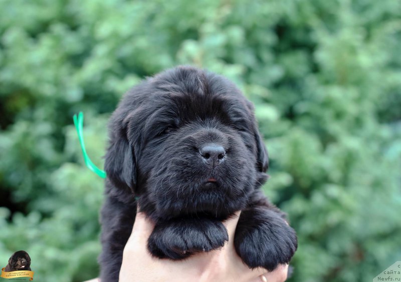 Фото: Виктор Хрищанович