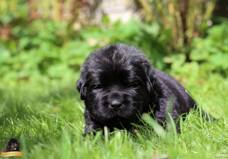 Фото: Виктор Хрищанович