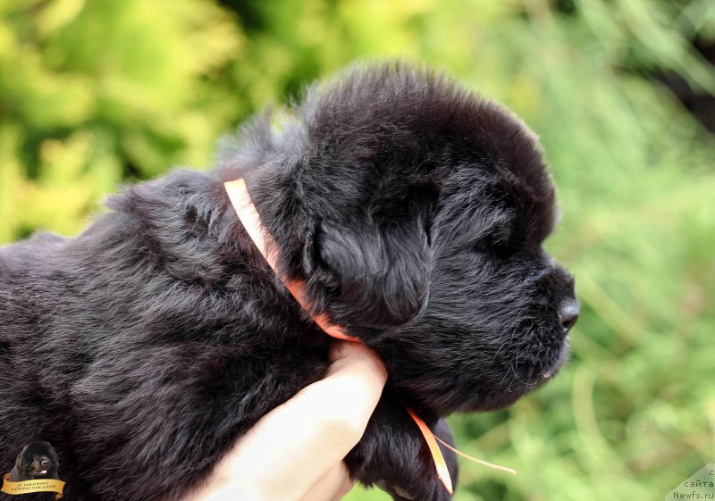 Фото: Виктор Хрищанович