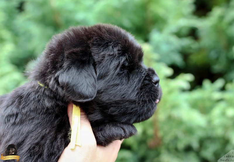 Фото: Виктор Хрищанович