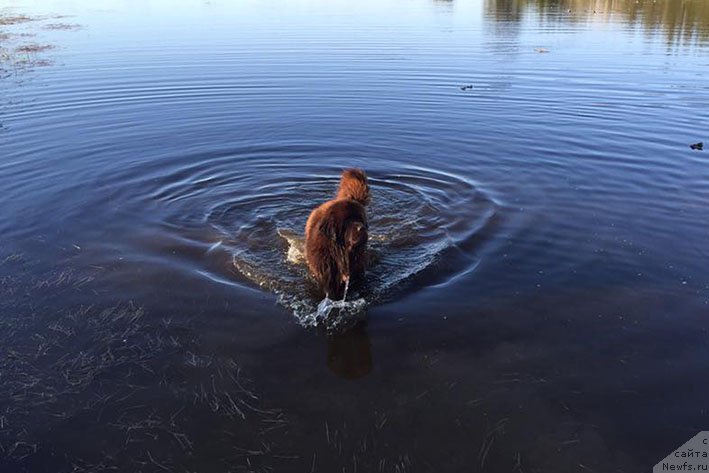 Фотография № 212765