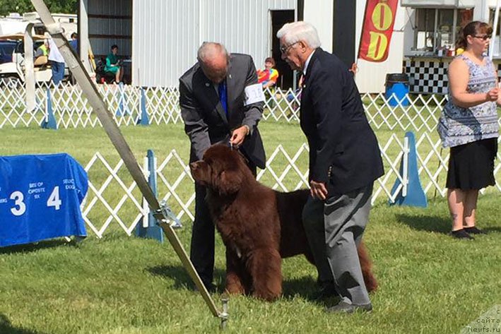 Фотография № 212766