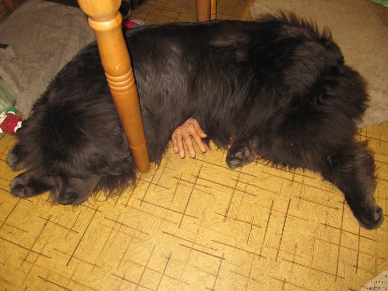 Фотография № 212768