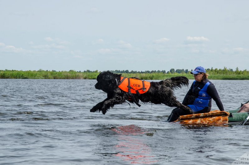 Фотография № 212771