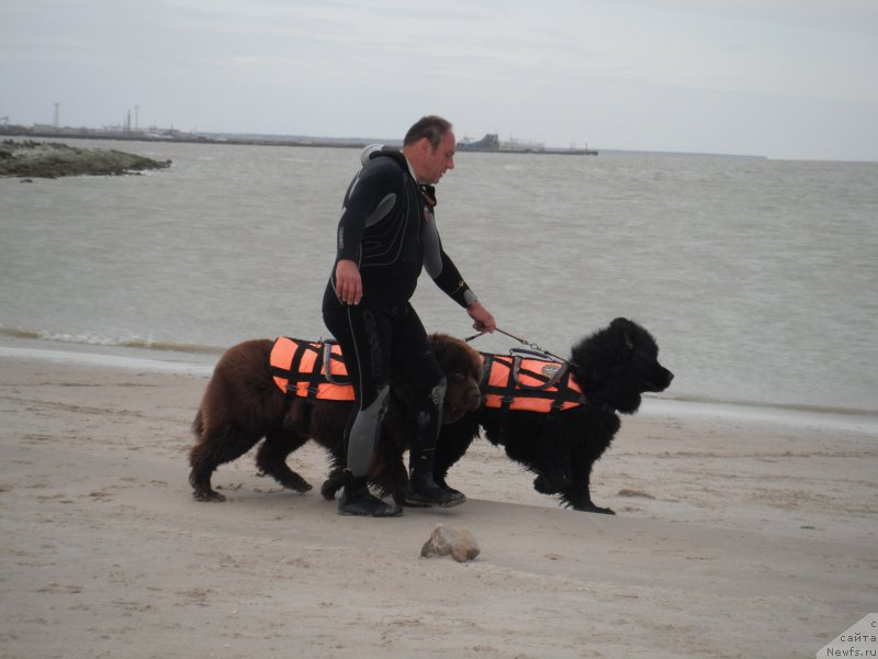 Фотография № 212774