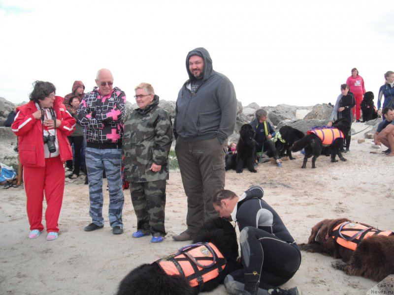 Фотография № 212779