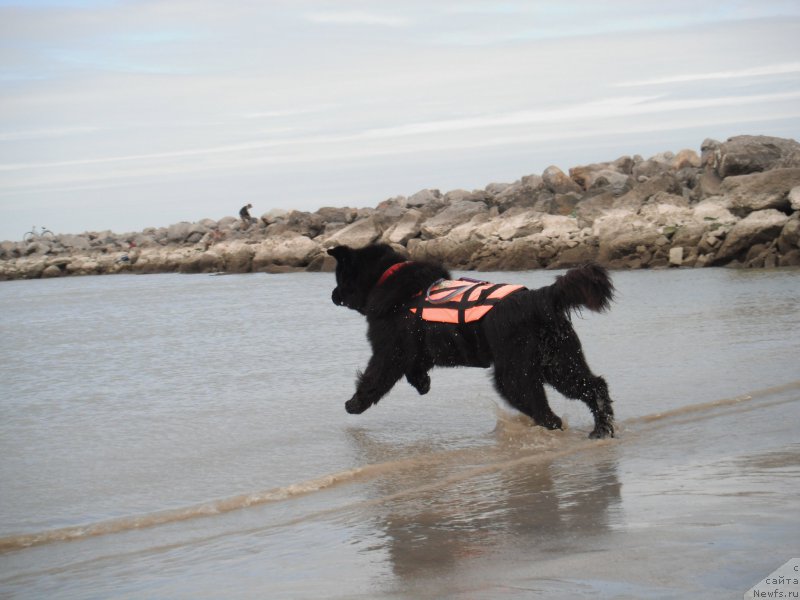 Фотография № 212817