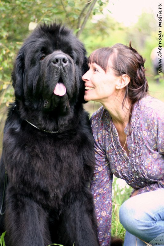 Фотография № 212825