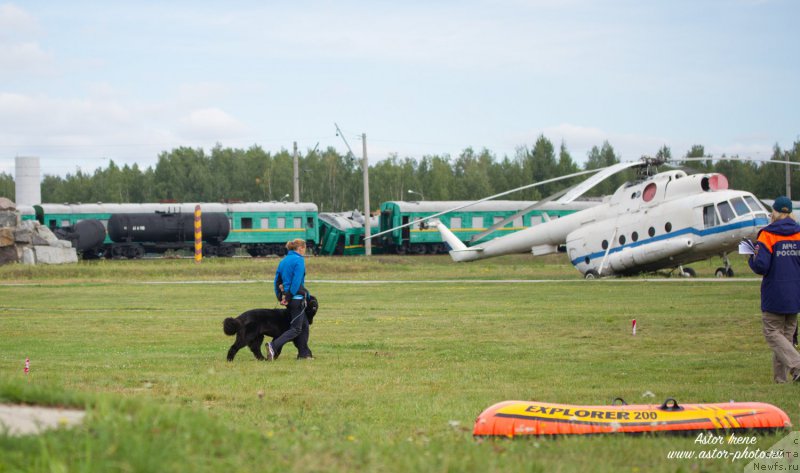 Фотография № 212860