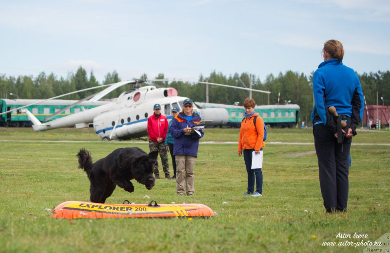 Фотография № 212861