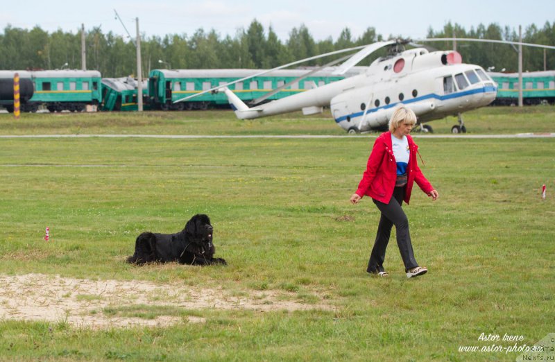 Фотография № 212862