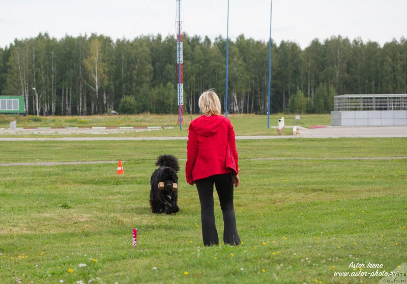 Фотография № 212863