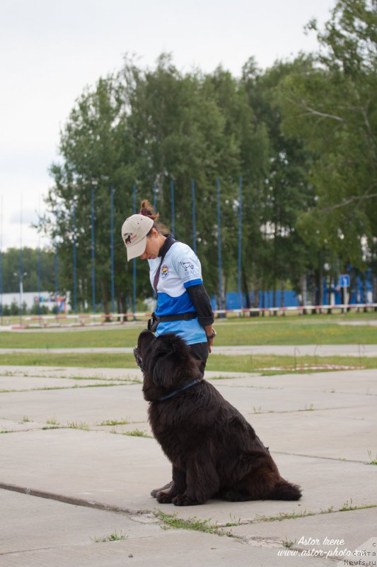 Фотография № 212864