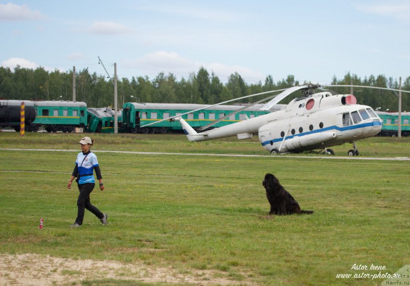 Фотография № 212865