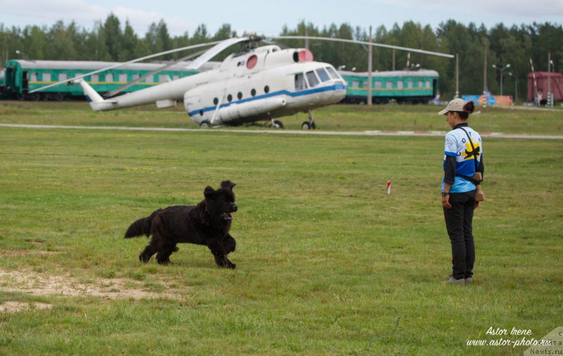 Фотография № 212866