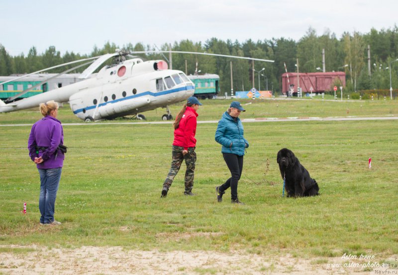 Фотография № 212867