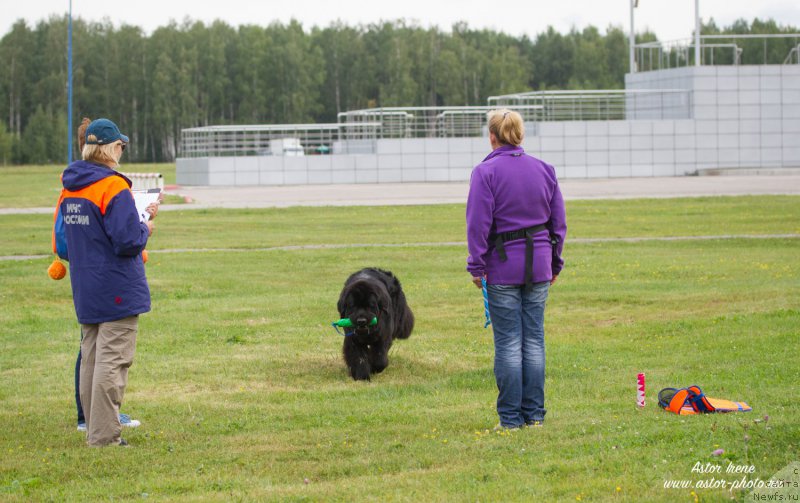 Фотография № 212868