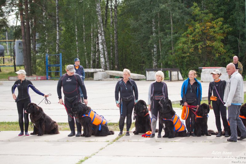 Фотография № 212869