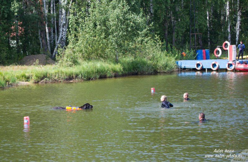 Фотография № 212871